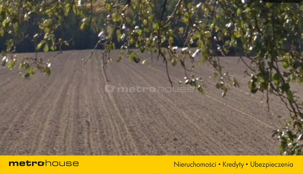 Działka 25 000,00 m², oferta nr , SGFECO117, Kiączyn