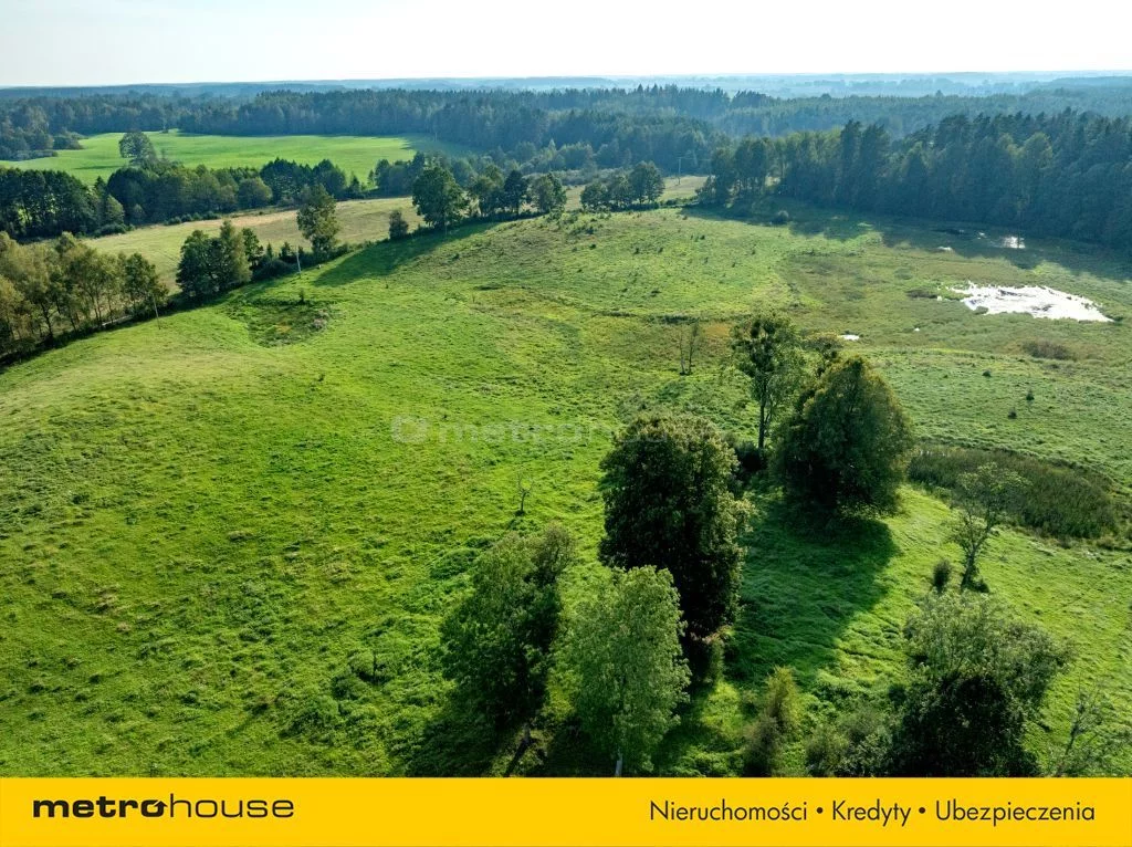Działka 98 200,00 m², oferta nr , SGSELA332, Kiersztanowo