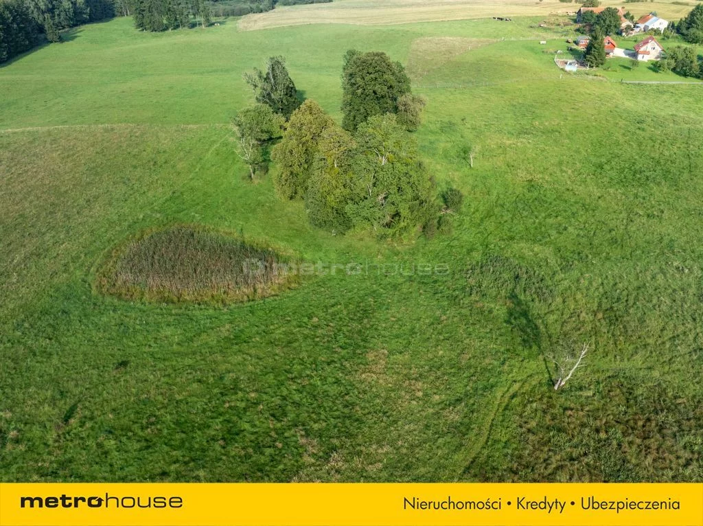 Działka 98 200,00 m², oferta nr , SGSELA332, Kiersztanowo
