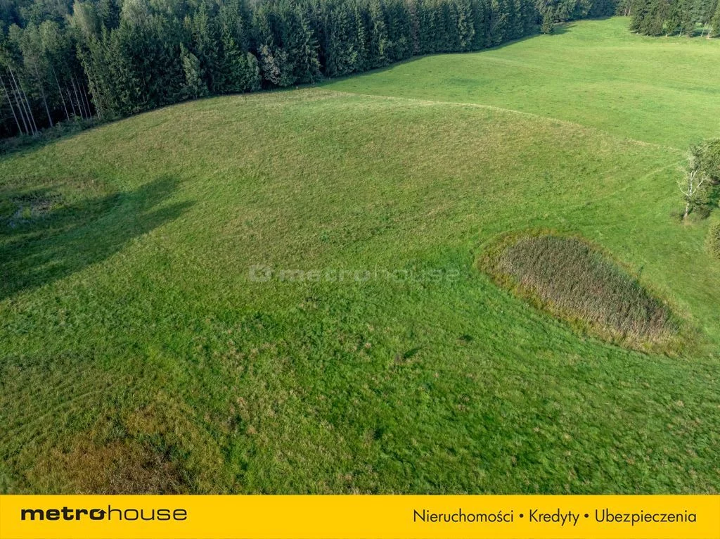 Działka 98 200,00 m², oferta nr , SGSELA332, Kiersztanowo