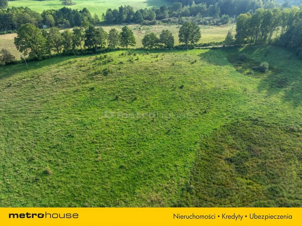 Działka 98 200,00 m², oferta nr , SGSELA332, Kiersztanowo