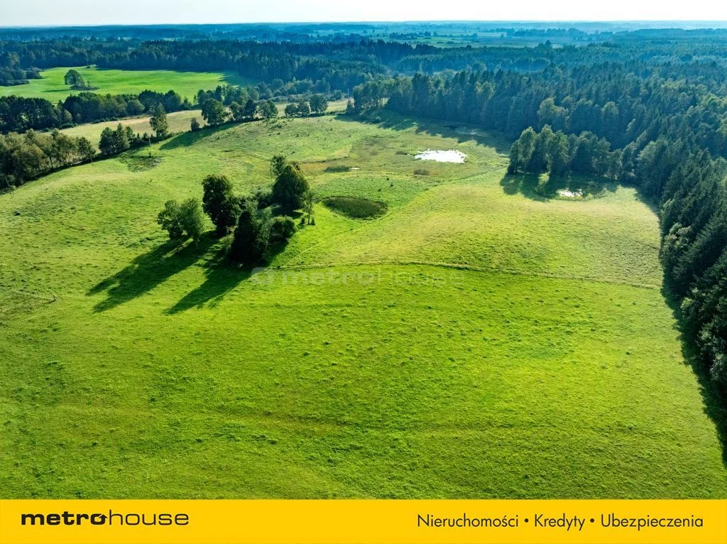 Działka 98 200,00 m², oferta nr , SGSELA332, Kiersztanowo