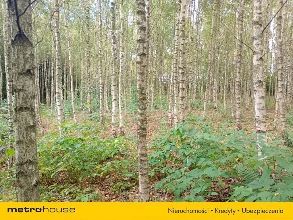 Działka 8 221,00 m², oferta nr , SGGATE771, Kierwiny
