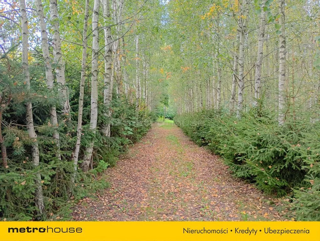 Działka 8 221,00 m², oferta nr , SGGATE771, Kierwiny