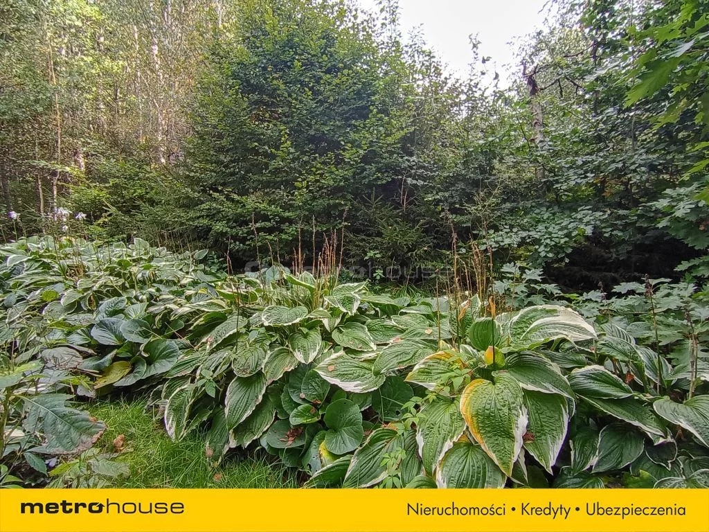 Działka 8 221,00 m², oferta nr , SGGATE771, Kierwiny