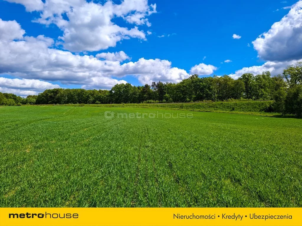 Działka 18 981,00 m², oferta nr , SGZUDY382, Klawkowo