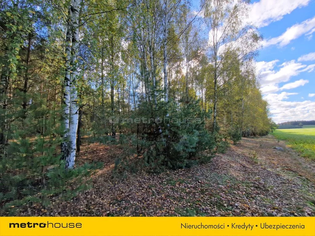 Działka 130 394,00 m², oferta nr , SGBUPO845, Klonownica Mała