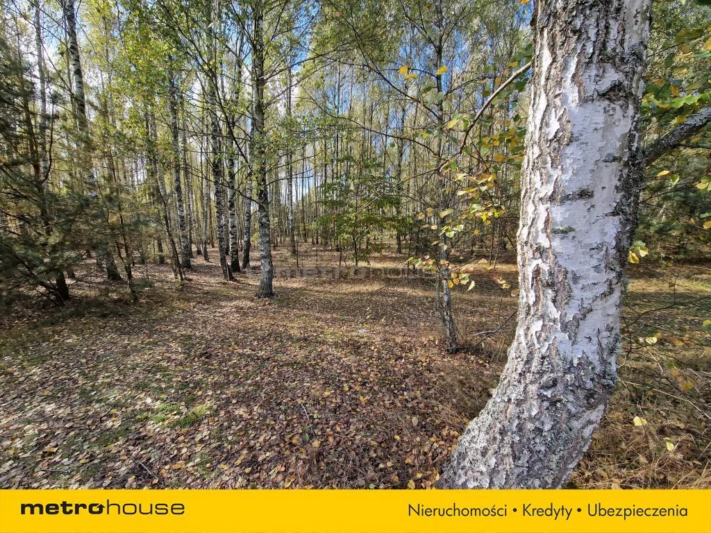 Działka 130 394,00 m², oferta nr , SGBUPO845, Klonownica Mała