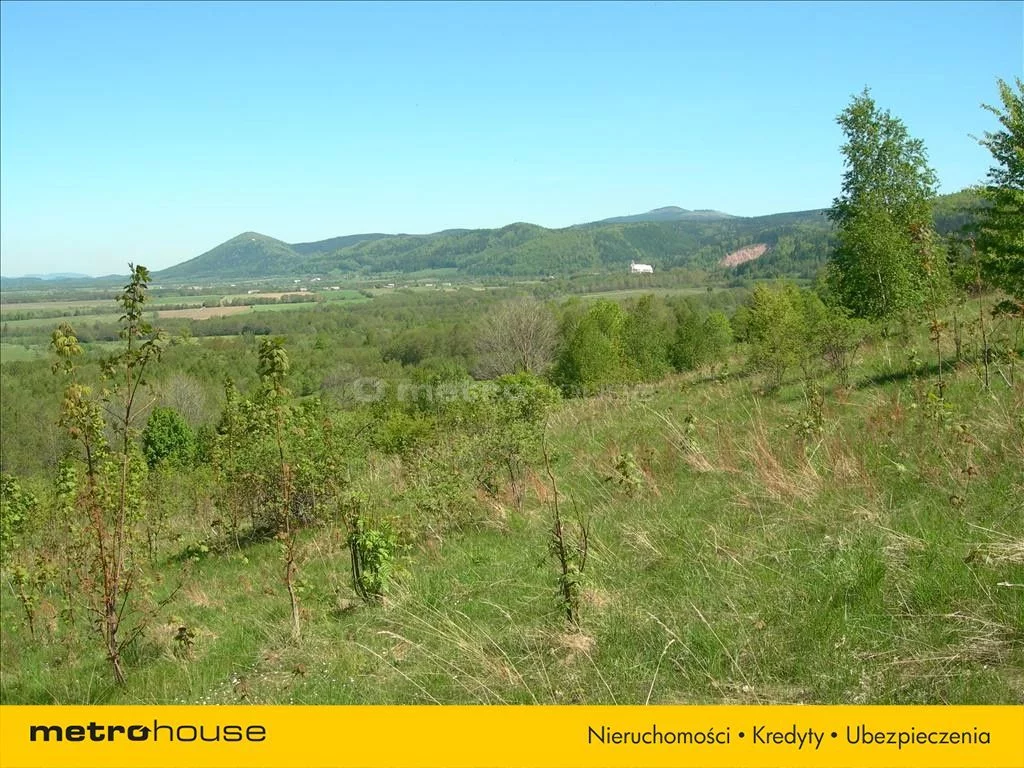 Działka 1 318 700,00 m², oferta nr , HEQY939, Bystrzyca Kłodzka, Kolejowa