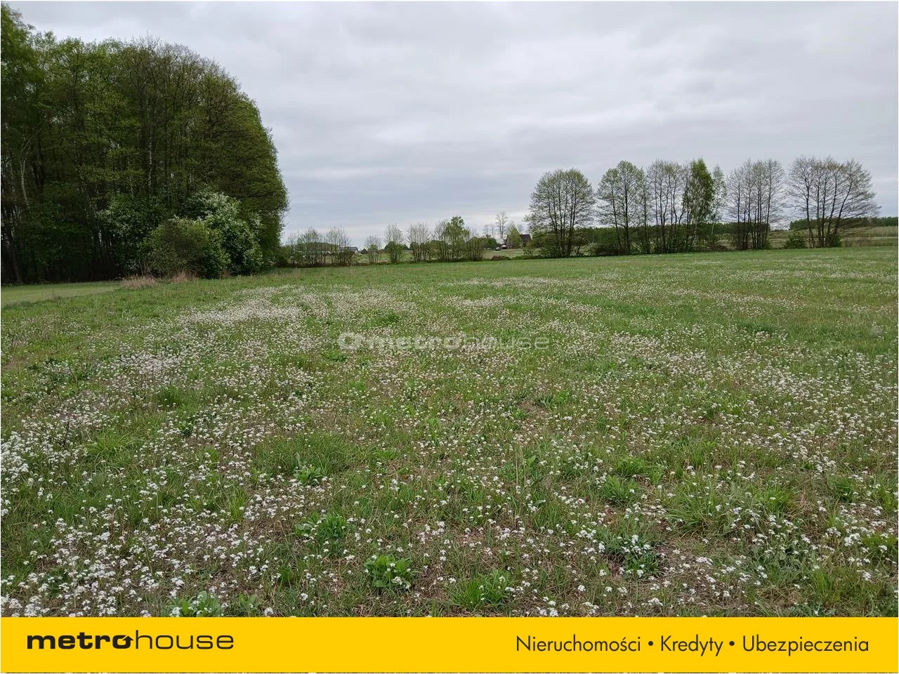 Działka 3 000,00 m², oferta nr , MAXA106, Kolonia Gościeńczyce