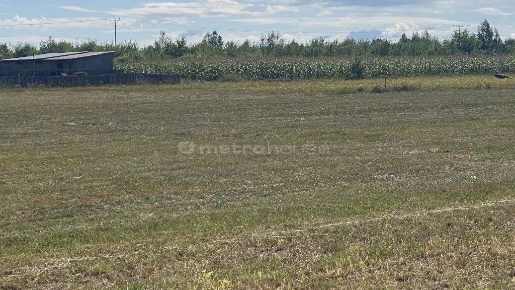 Działka 1 573,00 m², oferta nr , SGFIPY184, Kolonia Lesiów