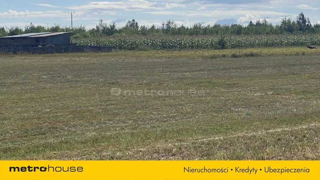 Działka 1 506,00 m², oferta nr , SGVUGU367, Kolonia Lesiów