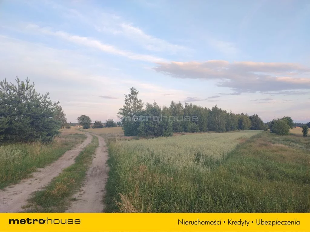 Działka 53 030,00 m², oferta nr , SGDUMO571, Komorowo