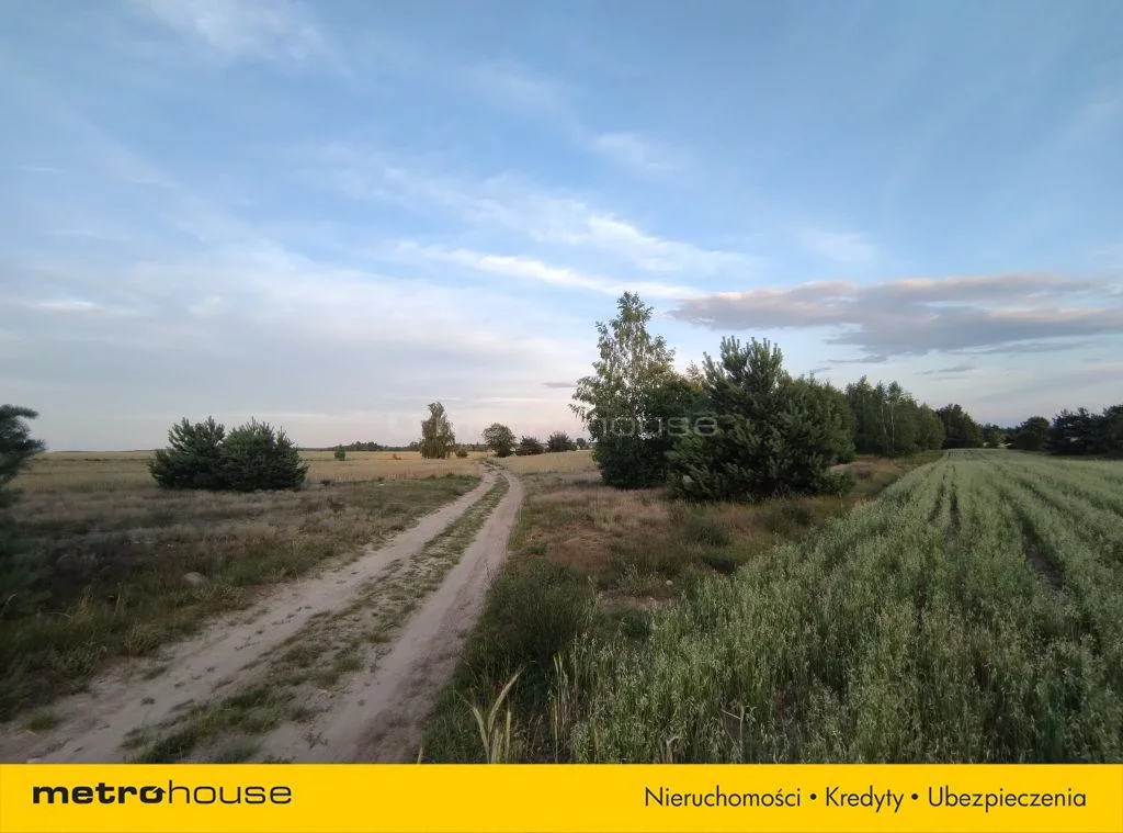Działka 53 030,00 m², oferta nr , SGDUMO571, Komorowo