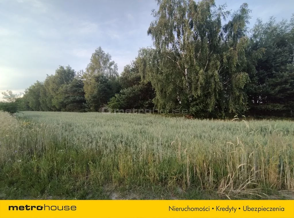 Działka 53 030,00 m², oferta nr , SGDUMO571, Komorowo