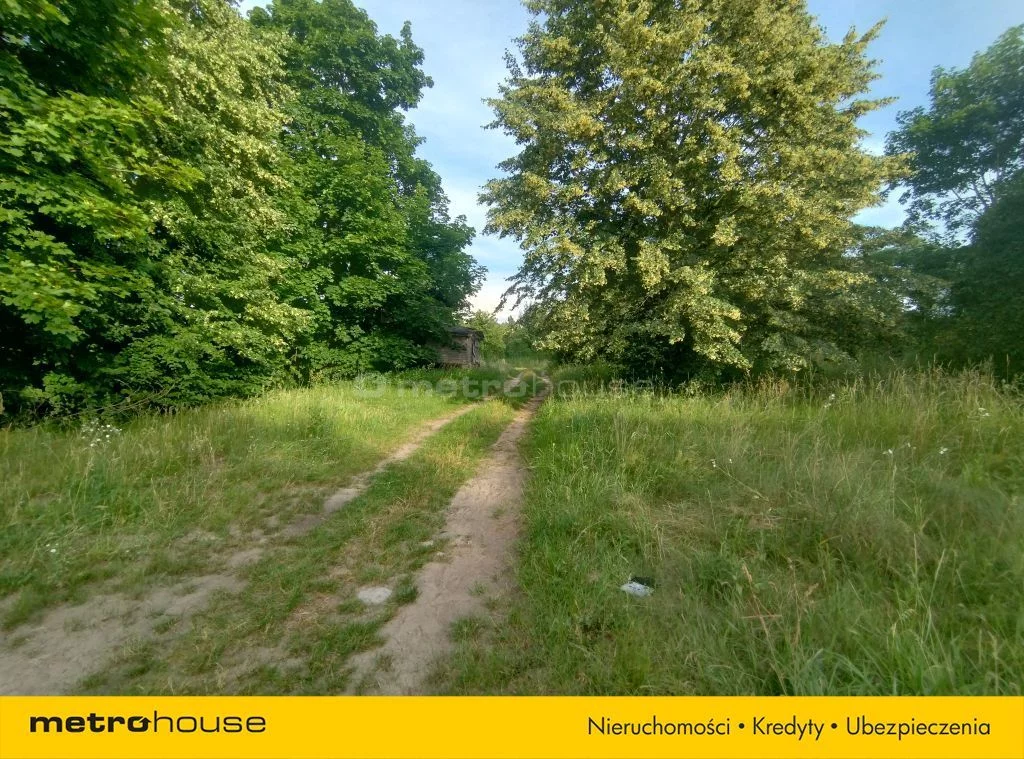 Działka 41 126,00 m², oferta nr , SGHEZY820, Komorowo