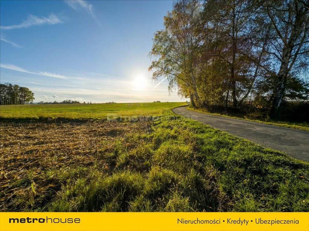 Działka 6 275,00 m², oferta nr , SETI702, Kończyce Wielkie