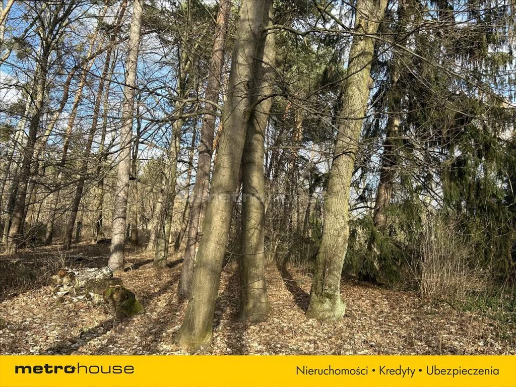 Działka 4 627,00 m², oferta nr , DAMO009, Konstancin-Jeziorna
