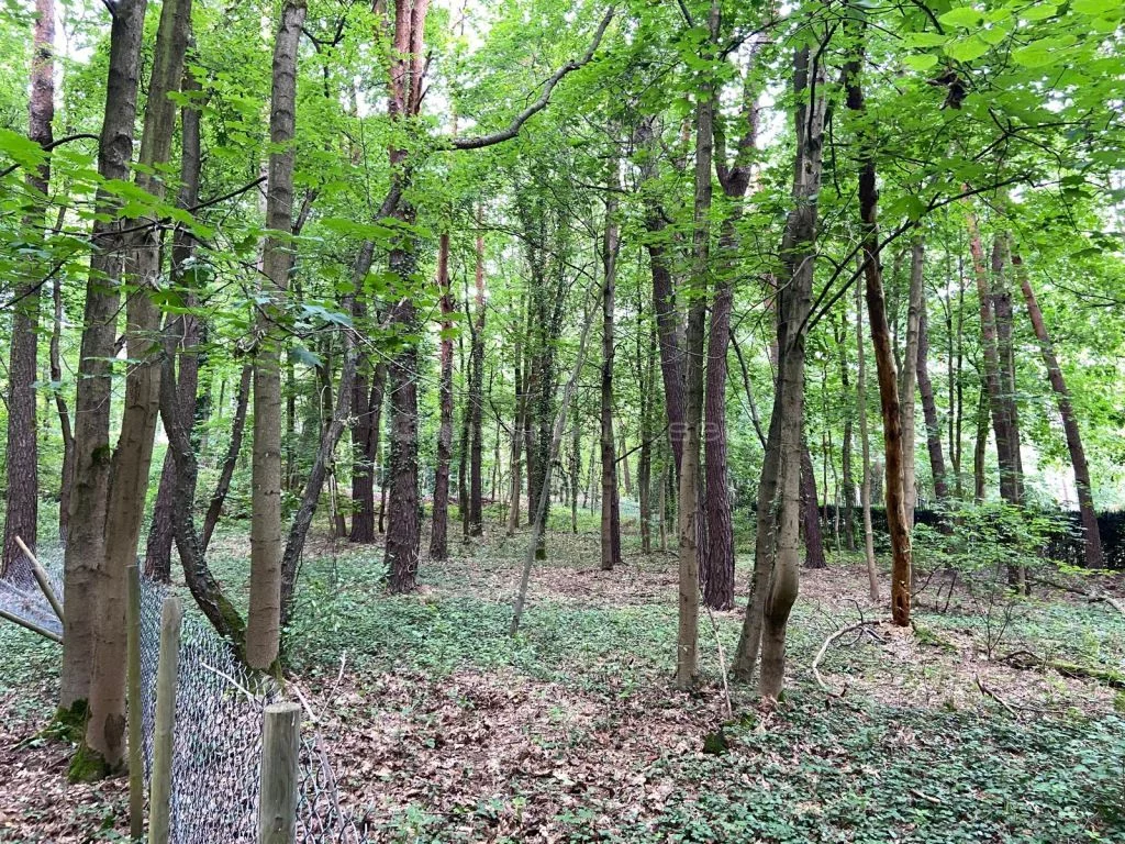 SGKOKY825 - zdjęcie nr 4