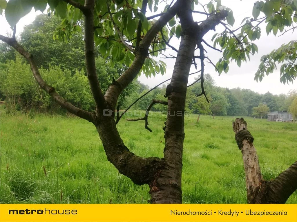 Działka 6 458,00 m², oferta nr , WYGI616, Kopaniec