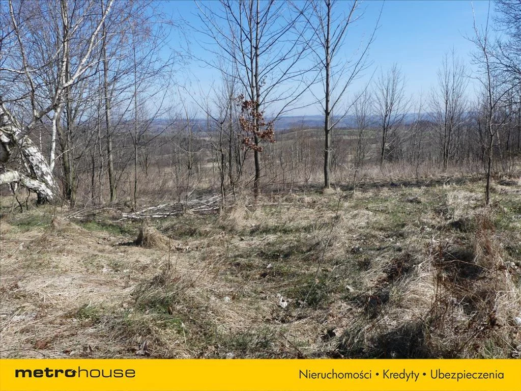 Działka 10 000,00 m², oferta nr , SUSE549, Kopaniec