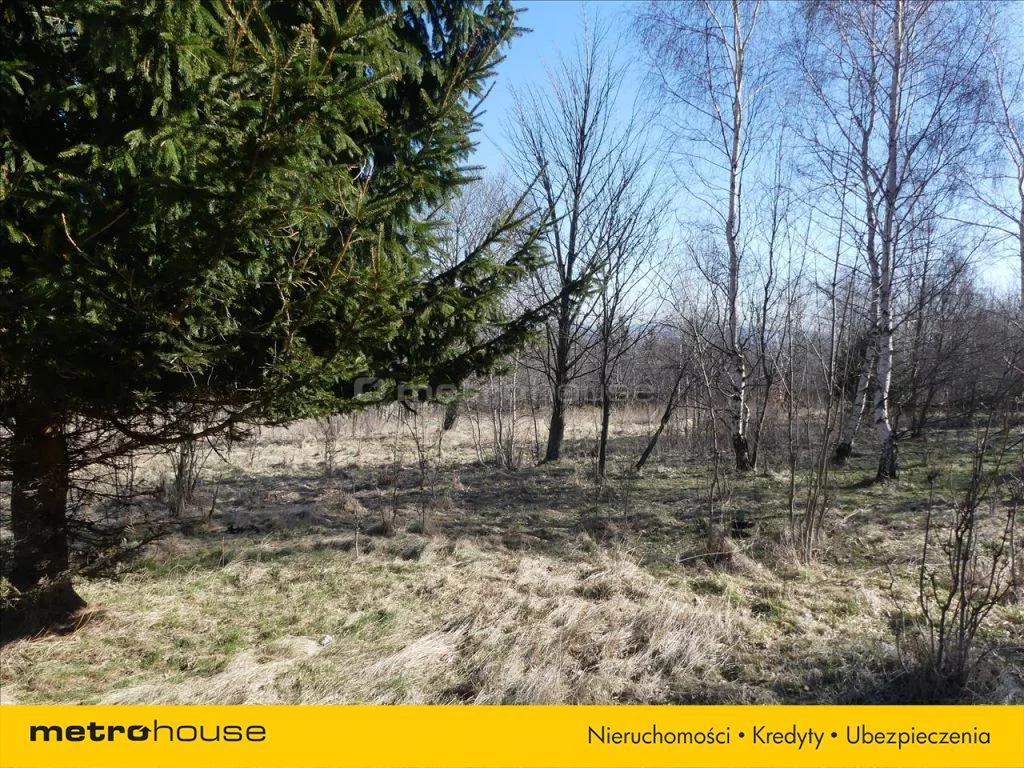 Działka 10 000,00 m², oferta nr , SUSE549, Kopaniec