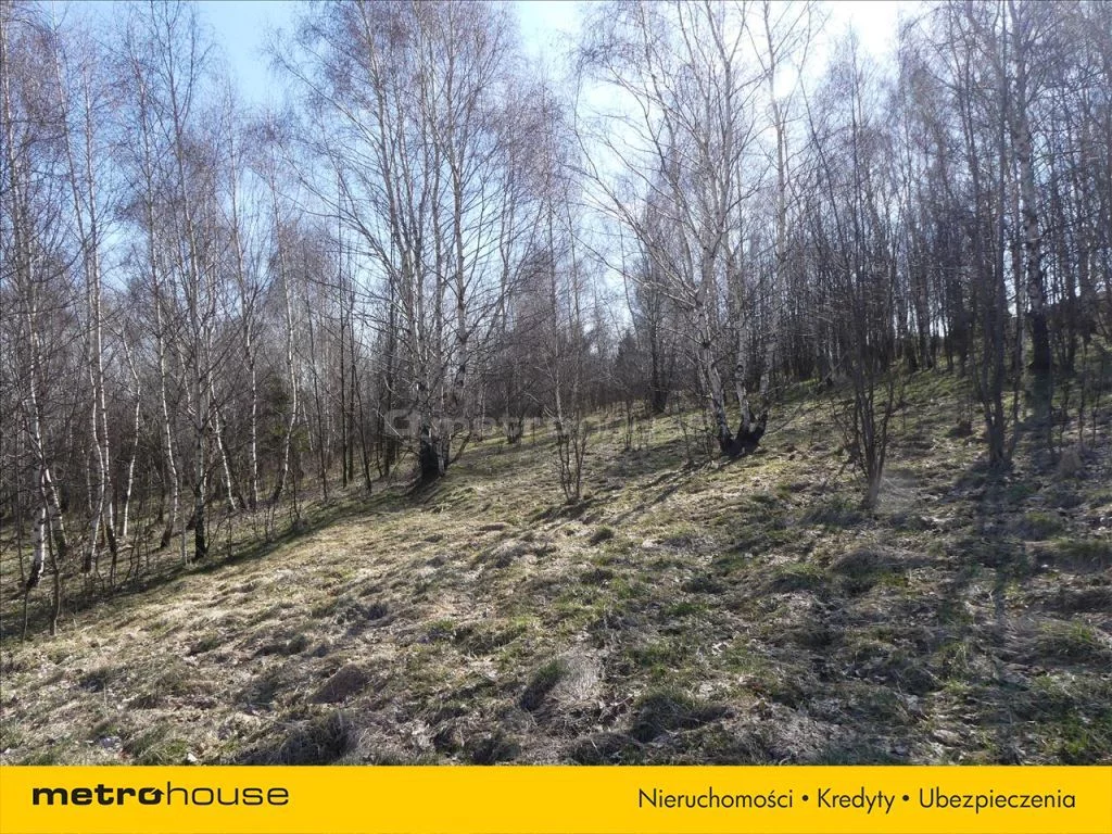 Działka 10 000,00 m², oferta nr , SUSE549, Kopaniec