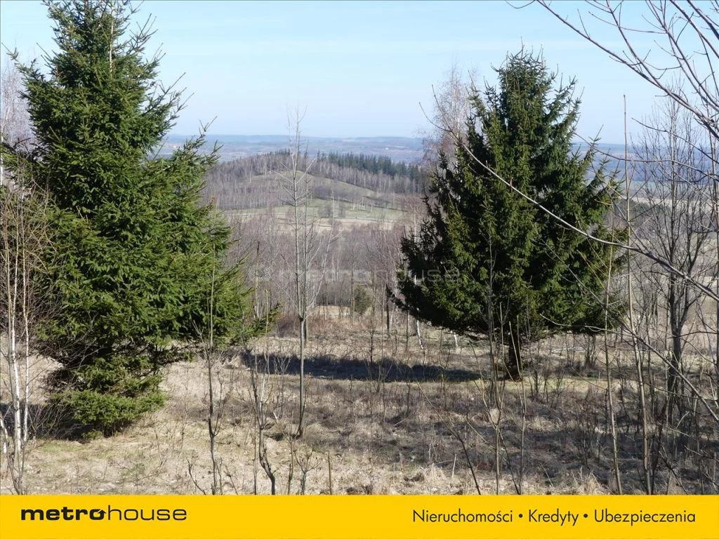 Działka 10 000,00 m², oferta nr , SUSE549, Kopaniec