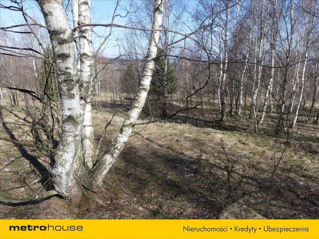 Działka 10 000,00 m², oferta nr , SUSE549, Kopaniec