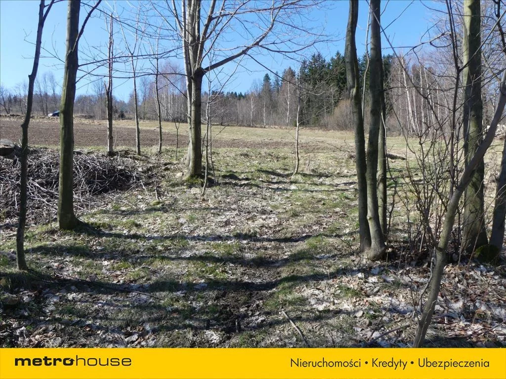 Działka 10 000,00 m², oferta nr , SUSE549, Kopaniec