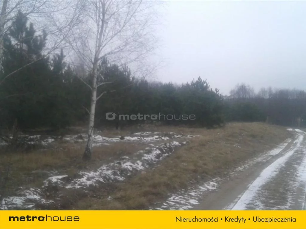 Działka 21 000,00 m², oferta nr , MIWE538, Koszelewy