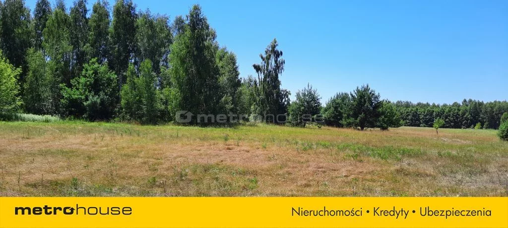 SGPESE949 - zdjęcie nr 0