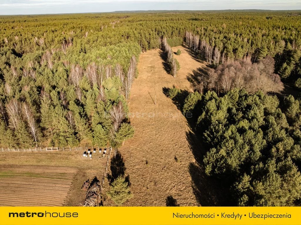 Działka 1 712,00 m², oferta nr , SGNIKY599, Kot