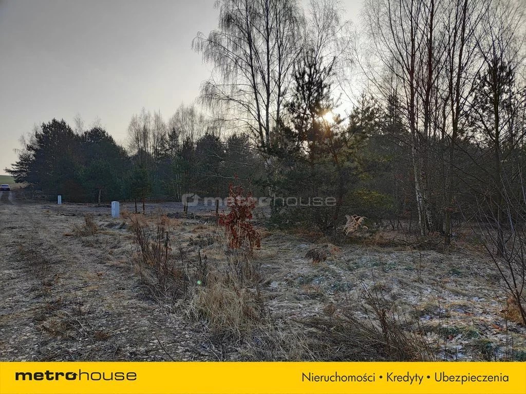 Działka 2 489,00 m², oferta nr , SGZARO266, Kotliny