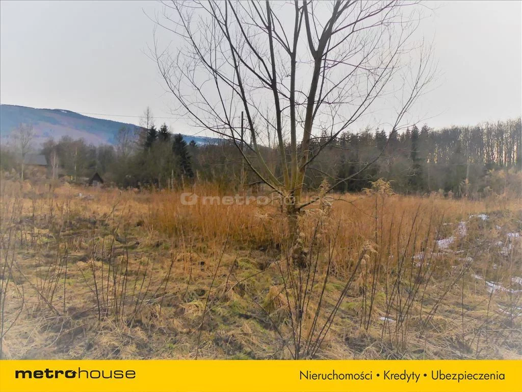 Działka 8 238,00 m², oferta nr , GETO140, Kowary