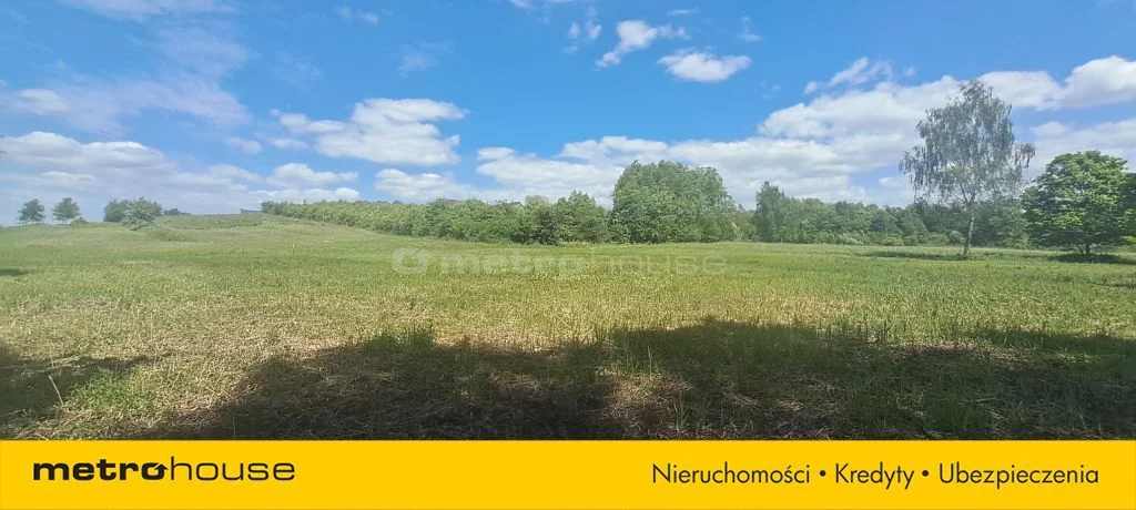 SGRORO553 - zdjęcie nr 0