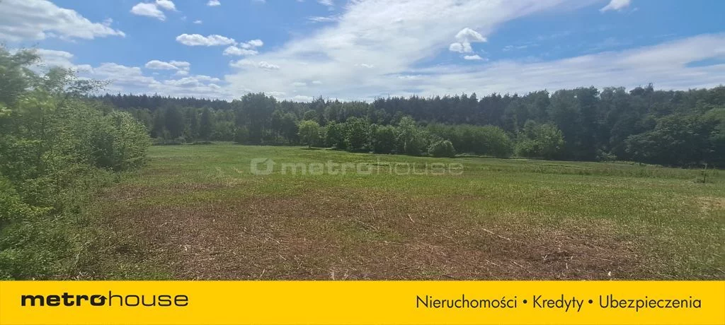 SGRORO553 - zdjęcie nr 2