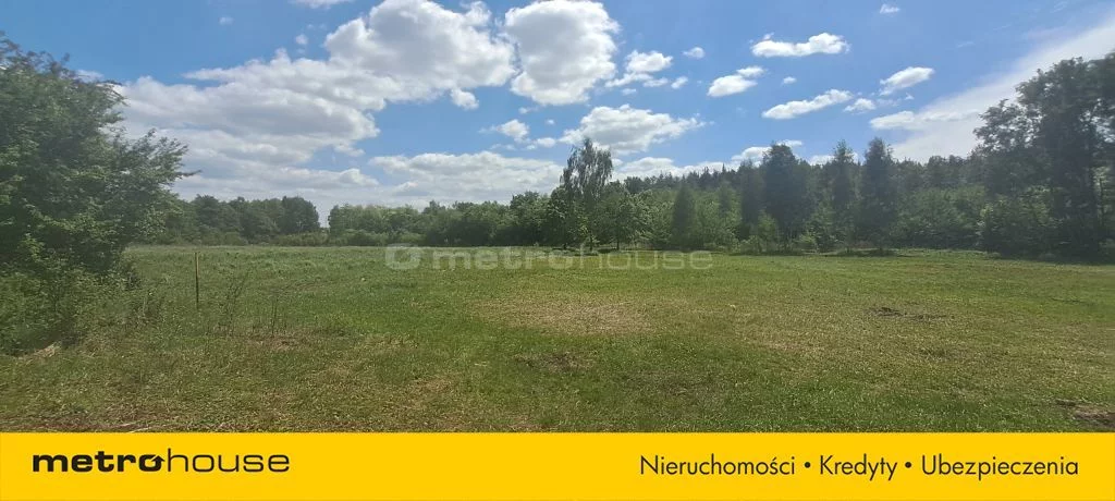 SGRORO553 - zdjęcie nr 3