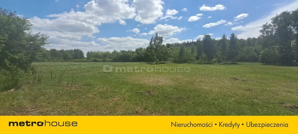 SGRORO553 - zdjęcie nr 4