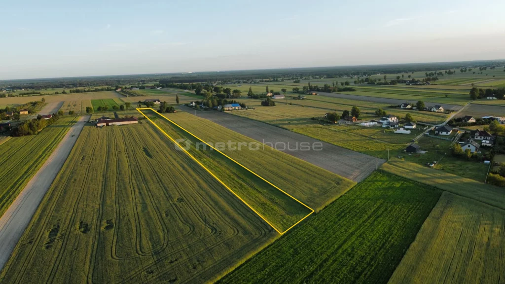 SGLIZA198 - zdjęcie nr 0