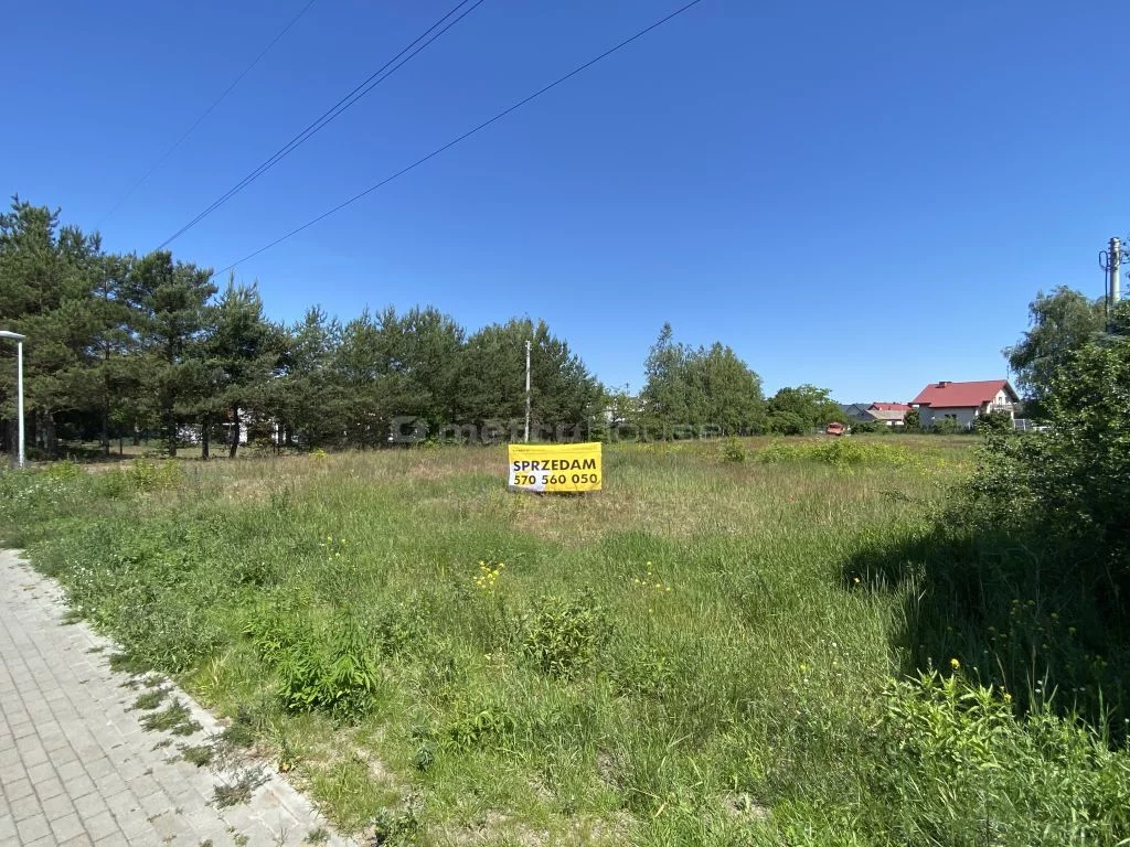 SGZODA590 - zdjęcie nr 3