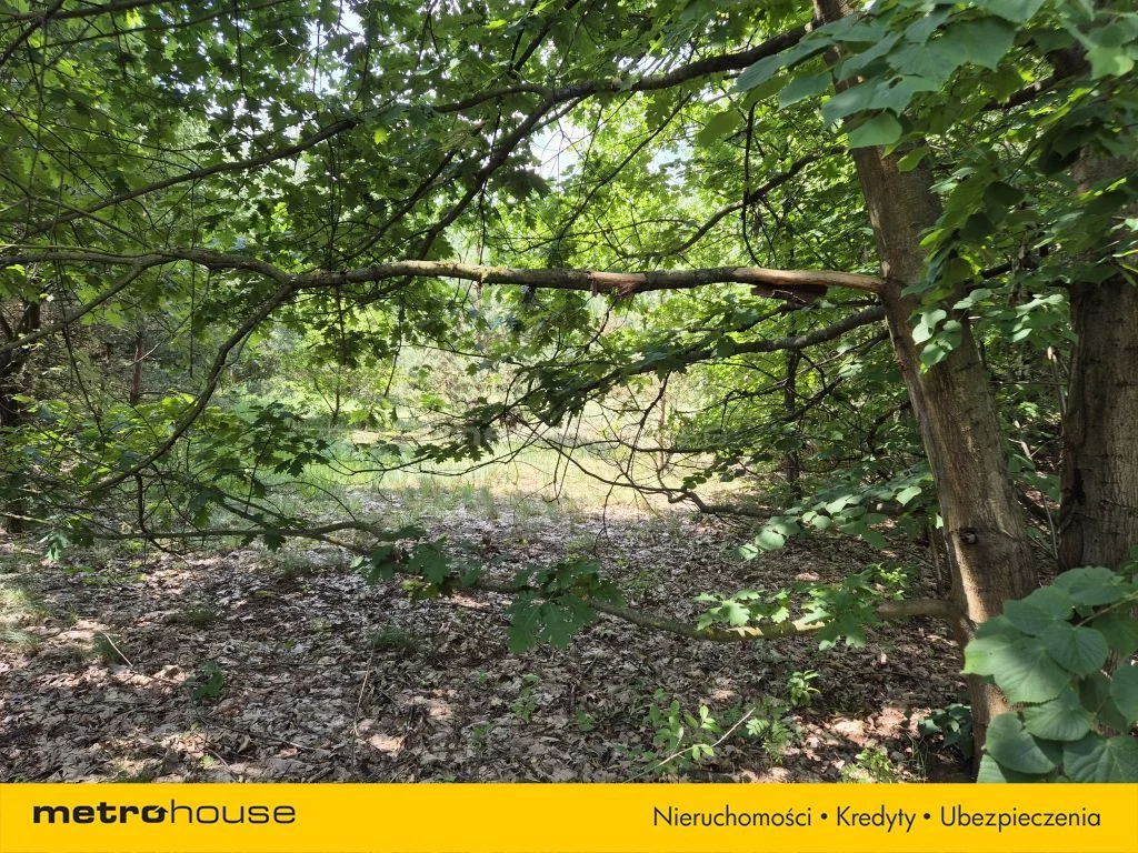 Działka 5 930,00 m², oferta nr , SGGEPA407, Królewo