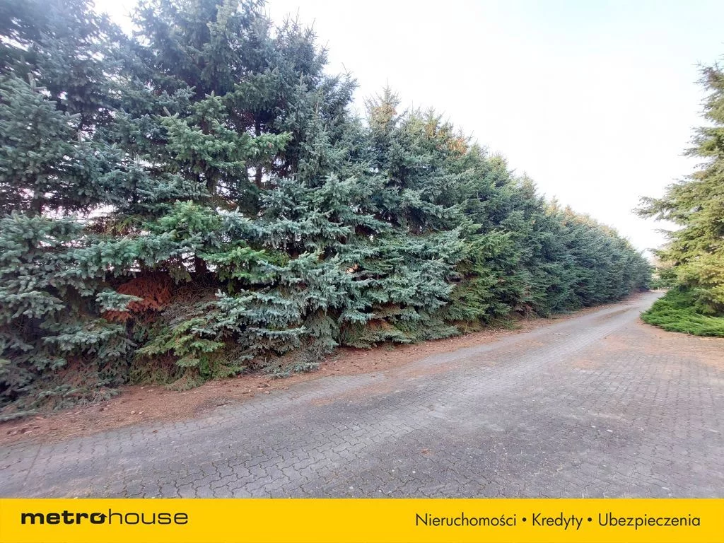 Działka 10 231,00 m², oferta nr , SGLENO442, Krosinko