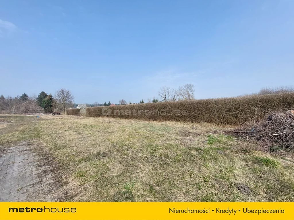 Działka 10 231,00 m², oferta nr , SGLENO442, Krosinko