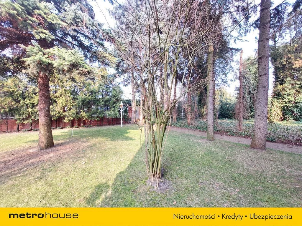 Działka 10 231,00 m², oferta nr , SGLENO442, Krosinko
