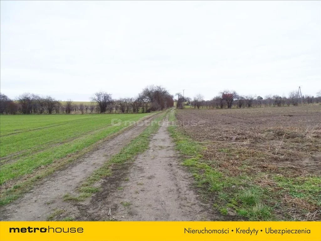 Działka 2 600,00 m², oferta nr , WYKE541, Kryniczno