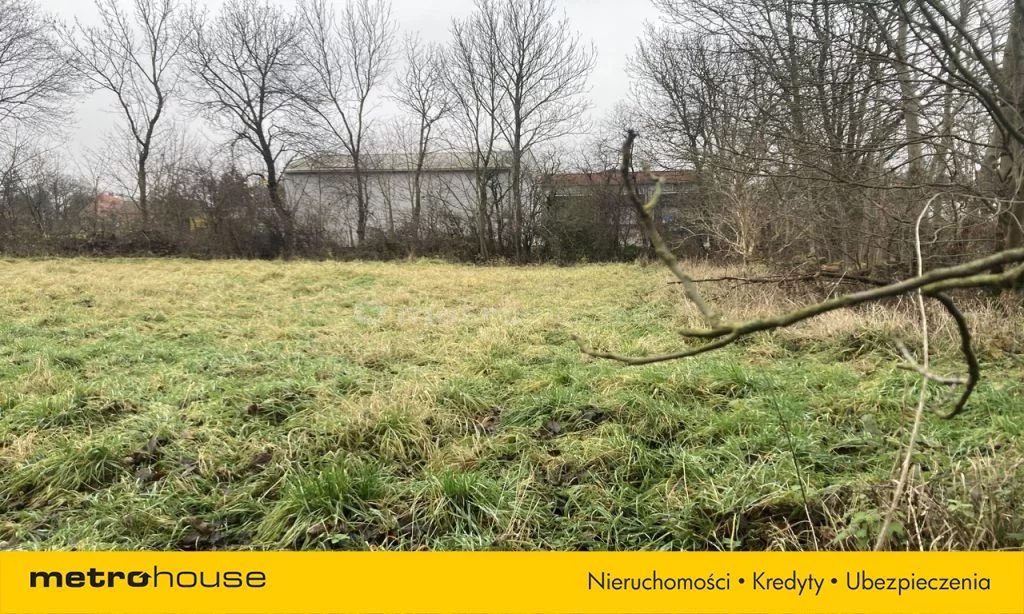 Działka 5 307,00 m², oferta nr , SGJOZO657, Kryniczno
