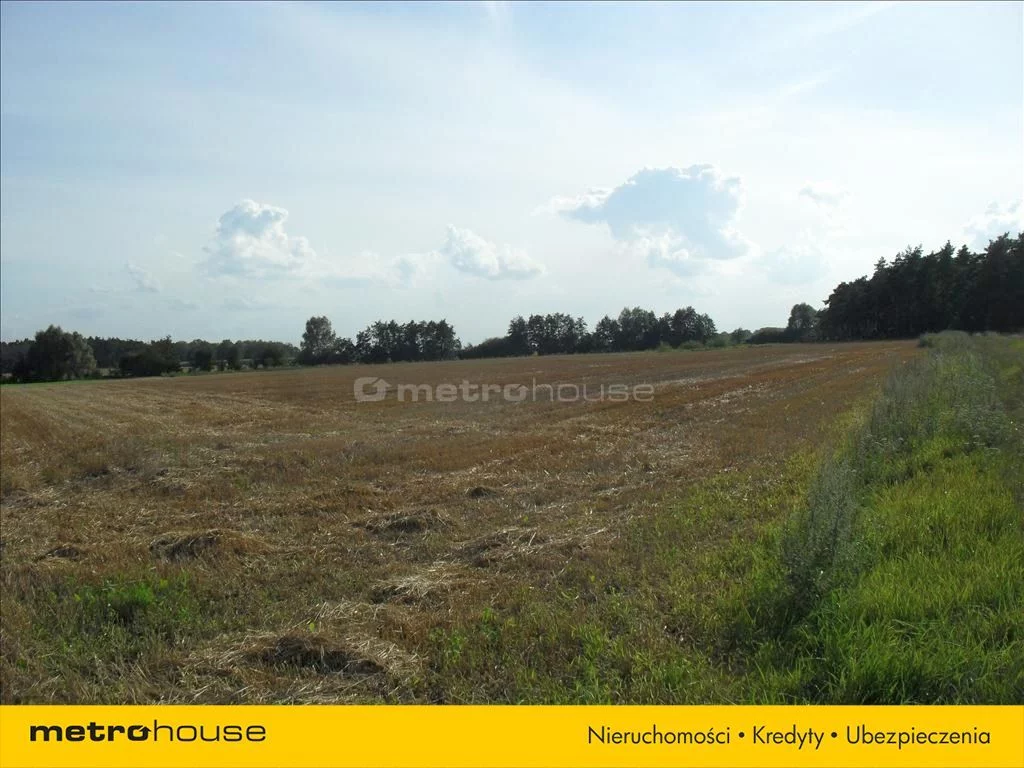 Działka 46 286,00 m², oferta nr , SAFO280, Krzykosy