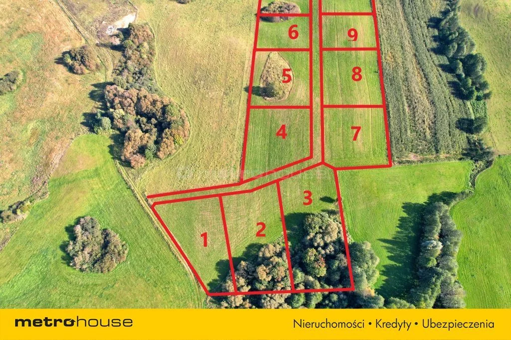Działka 3 004,00 m², oferta nr , SGFUJA515, Krzywe