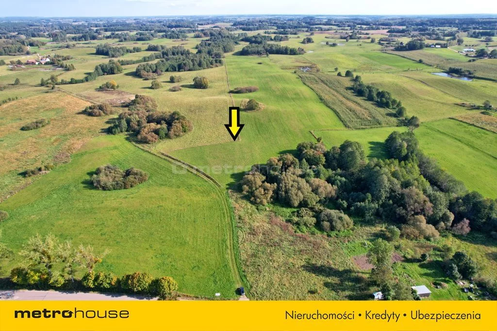 Działka 3 004,00 m², oferta nr , SGFUJA515, Krzywe